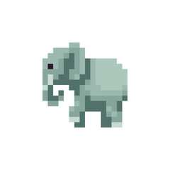 Obraz premium Elephant pixel art icon isolated vector illustration. African, indian animal. Logo, sticker design. 