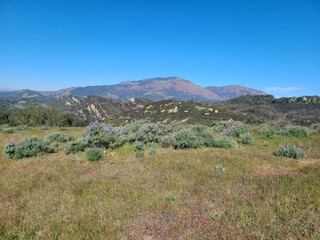 Mt Diablo from Oyster Point, California