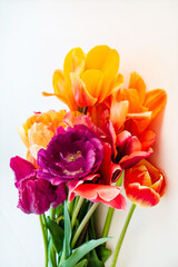 nice tulips in the vase