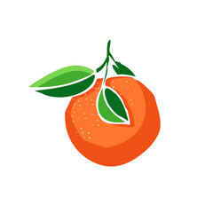 Illustrations of orange. Abstract fruit art design for print, cover, wallpaper. Minimal and natural art. Paper cut style. Isolated vector.