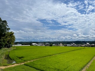 Fototapeta na wymiar 栃木の空６