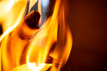 close up of a burning trunk