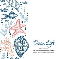 A banner template in a nautical style. Hand drawn seashells, fish, seahorses and starfish in sketch style. Life of the ocean. Handwritten lettering. A greeting card. Beach party.