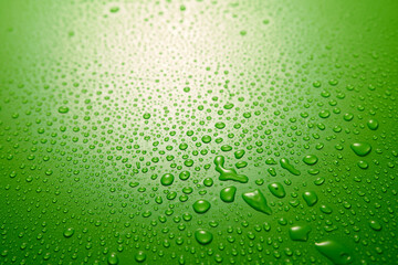 Plakat Green background with water drops