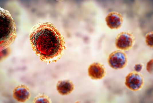 Monkeypox virus floating in infected cell, monkeypox virus vaccine research and demand concept 3d rendering