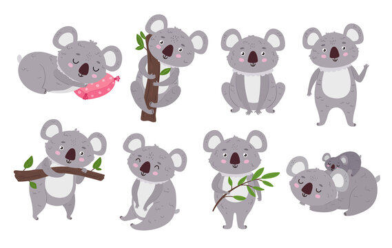Cute koalas. Cartoon mascot, bear with eucalyptus tree branch and sitting koala vector Illustration set