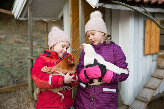 Sisters with warm cloathing holding chickens