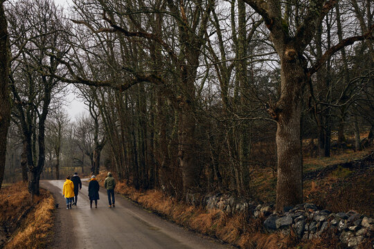 Friends walking on road through forest