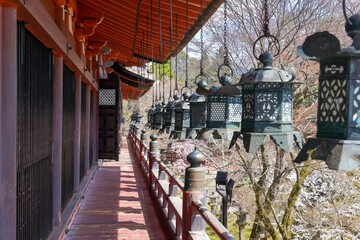 整然と並んだ神社の吊り灯籠の情景＠奈良