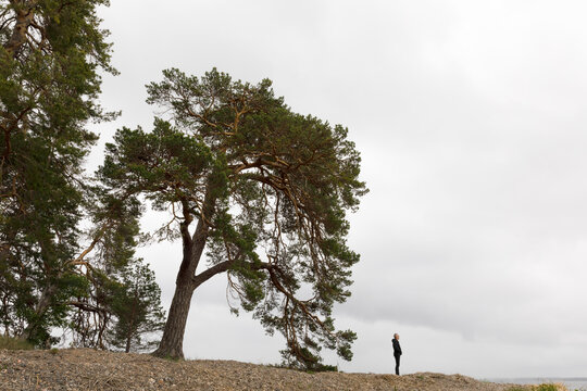 Man standing by trees on shore of Lake Glan Sweden