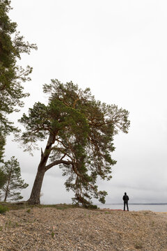 Man standing by trees on shore of Lake Glan Sweden