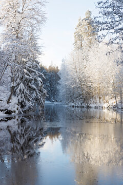 Stora Tron lake by snowy forest in Borggard Sweden