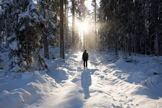 Woman standing in snowy forest