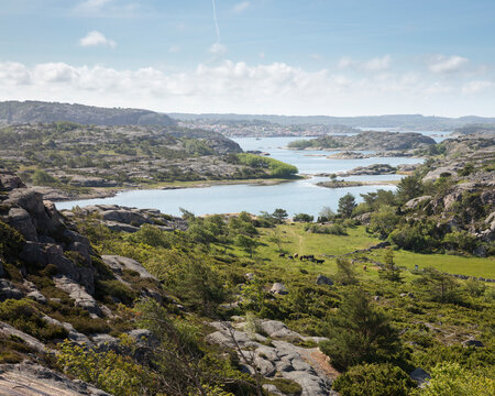 Hills and river in Veddoarkipelagens Nature Reserve in Sweden