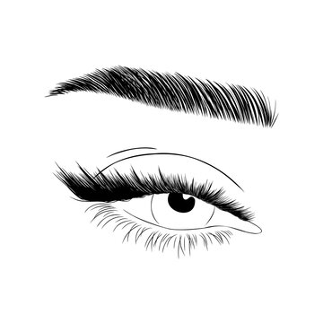 Realistic lashes on white background. Female open eyes and brows. Lamination and extension eyelashes. Beauty studio logo. Linear vector Illustration in trendy minimalist style.