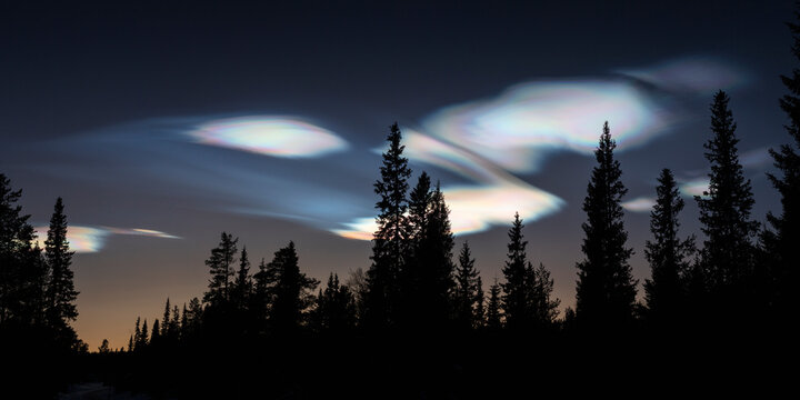 Silhouette of forest under pearl clouds at night