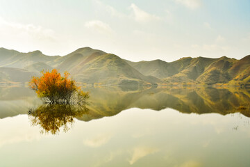 Mravaltskaro reservoir in autumn with tent and white desert canyons in background. Georgia travel...