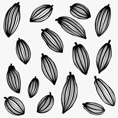 Cacao pods which is raw ingredient for chocolate freehand drawing.