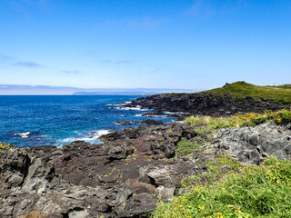 火山の島