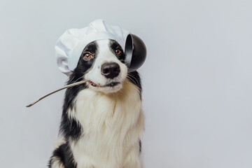 Funny puppy dog border collie in chef cooking hat holding kitchen spoon ladle in mouth isolated on...