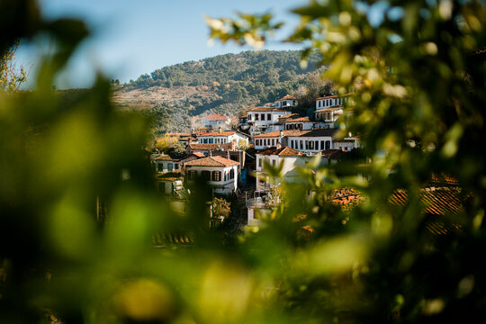 Houses behind trees in Marmaris Turkey