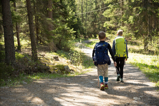 Boys hiking on trail through forest in Domarudden Nature Reserve Sweden
