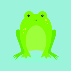 Green frog, front view, illustration