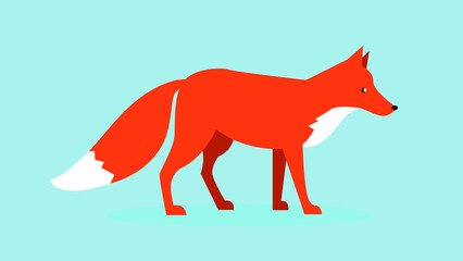 Red fox, side view, illustration