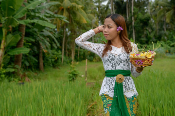 Young woman in green and white Balinese clothes in rice fields