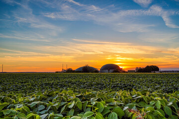 Biogasanlage vor Sonnenuntergang