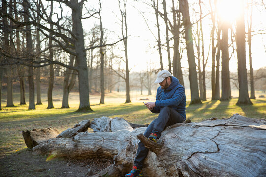 Man using smartphone while sitting on fallen tree at sunset