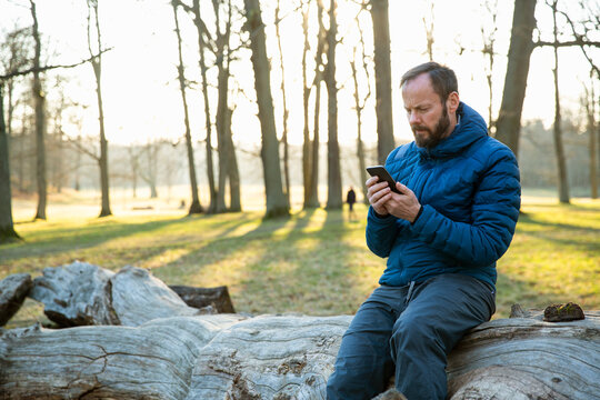 Man using smartphone while sitting on fallen tree at sunset