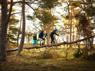 Mother and children climbing tree