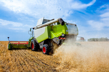 Combine harvester harvests wheat in the field. Agriculture background. Harvest season