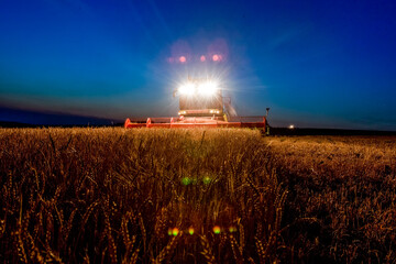Combine harvester working in wheat field at dark night. Agriculture background. Harvest season