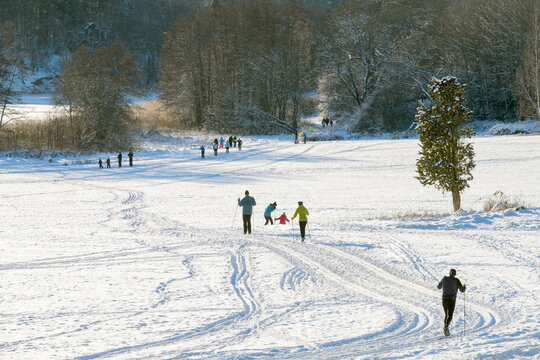 People skiing in field