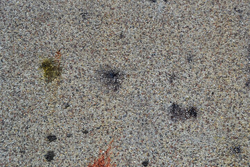 Abstract background with texture of old gray concrete wall.