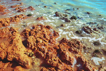 Clay steep coast. Seashore on a sunny day. Nature background