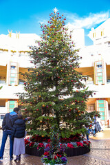 クリスマスツリー