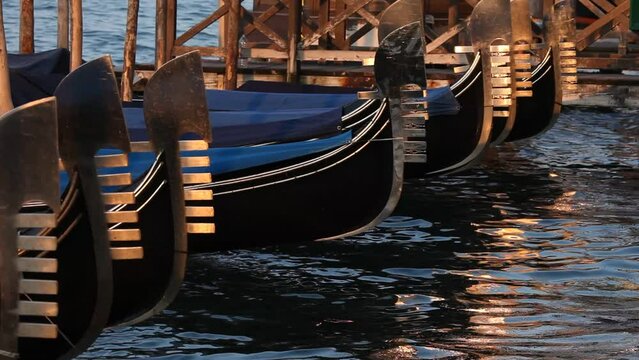 Moored gondolas dance in the Grand Canal, Venice