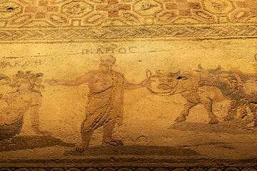 Ancient Greek floor mosaic in archaeologic park Kato Paphos, Cyprus.