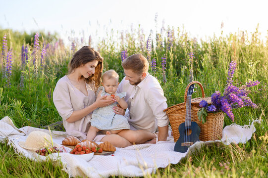 Beautiful Caucasian young family dad and mom with a little baby girl sitting on a picnic at sunset in a field of lupines