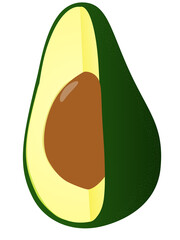 Illustration of cutted avocado fruit vector