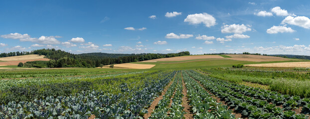 Biologischer Gemüseanbau auf kleinen Feldern im Sommer in malerischer hügeliger ländlicher Landschaft  - obrazy, fototapety, plakaty