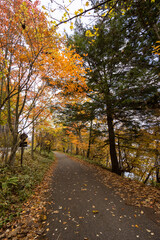 Fototapeta na wymiar Natural walk route against colorful leaves in the autumn season.