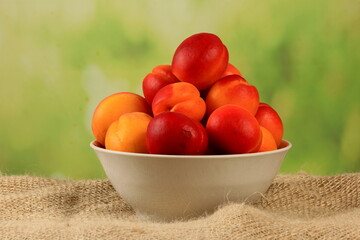 White bowl of fresh apricots on a fabric, green sunny background 