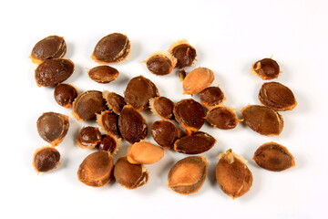 apricot pits on white isolated background