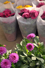 flowers in the market