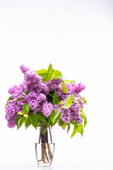 Transparent glass vase with flowers. Branches of lush lilac isolated on white background.