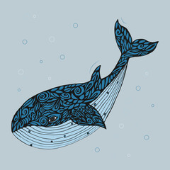 Vector illustration. Blue whale.